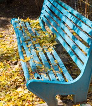 Blue bench in the park in autumn