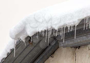 icicles on winter nature