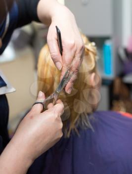 Female hair cutting scissors in beauty salon