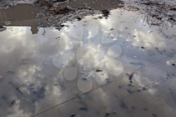 puddle on the ground in nature