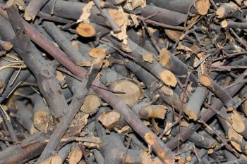 background of the wooden sticks of firewood