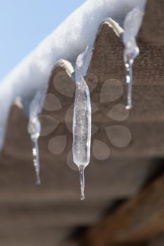 Icicles from the roof of the house