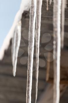 Icicles from the roof of the house