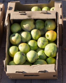 apples in the box on the market . A photo