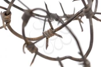 Barbed wire on a white background. macro