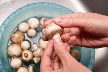 The cook washes the mushrooms in the water .