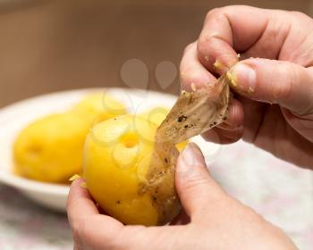 Woman cleaning boiled potatoes with her hands .