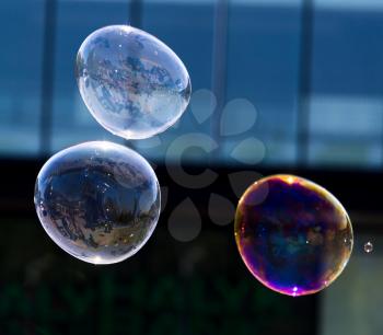 Beautiful soap bubbles fly in the city .