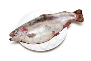Royalty Free Photo of a Trout on a Plate
