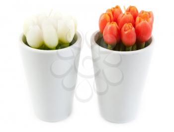 Royalty Free Photo of Tulip Candles