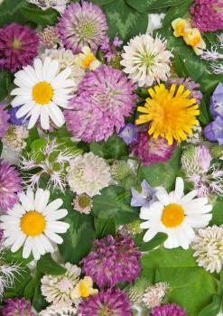 Royalty Free Photo of a Bunch of Flowers