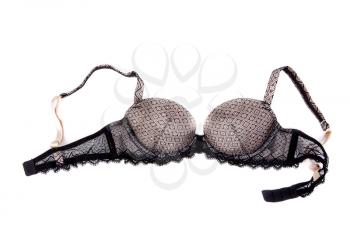 The bra is isolated on a white background