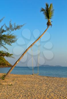 Empty swing hanging from a tree on romantic Thai beach at sunset