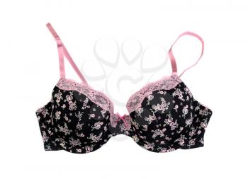 Sexy bra, black and pink. Isolate on white.