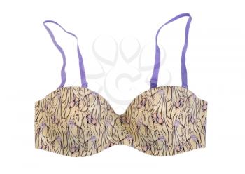 Beige bra with pattern ladies. Isolate on white.