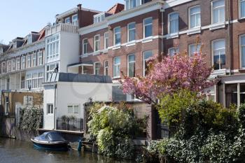 House in Rotterdam on the channel with a blossoming tree.