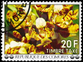 COMOROS - CIRCA 1977: A Stamp printed in COMOROS shows the image of a Orchids, series, circa 1977