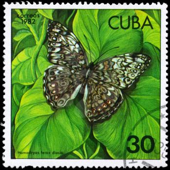 CUBA - CIRCA 1982: A Stamp printed in CUBA shows image of a Butterfly with the description Hamadryas ferox diasia, series, circa 1982
