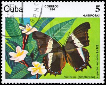 CUBA - CIRCA 1984: A Stamp printed in CUBA shows image of a Butterfly with the description Victorina (Amphirene), series, circa 198