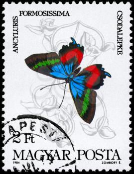 HUNGARY - CIRCA 1984: A Stamp printed in HUNGARY shows image of a Butterfly with the description Ancylusis formossissima, series, circa 1984