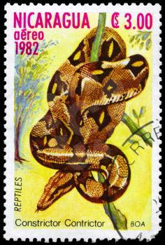 NICARAGUA - CIRCA 1982: A Stamp printed in NICARAGUA shows the image of a Boa with the description Constrictor constrictor from the series Reptiles, circa 1982