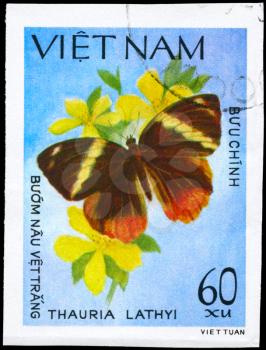VIETNAM - CIRCA 1983: A Stamp printed in VIETNAM shows image of a Butterfly with the description Thauria lathyi, series, circa 1983
