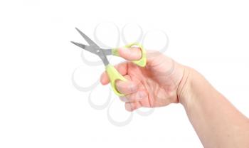 Royalty Free Photo of a Person Holding Scissors