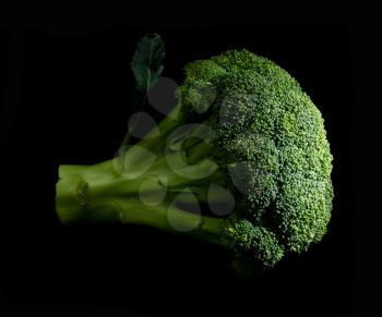 fresh vivid green broccoli on black background