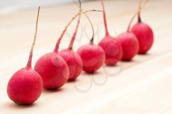 fresh red raw  raddish over pine wood table closeup