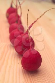 fresh red raw  raddish over pine wood table closeup