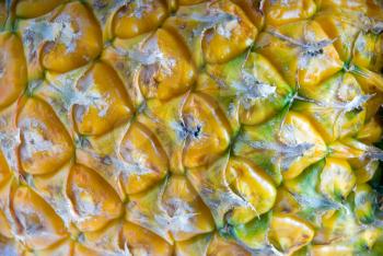 dettail ripe vivid pineapple textured skin closeup