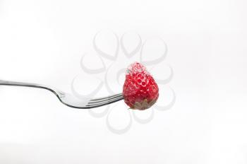 srawberry on a fork with sugar crust  isolated over white