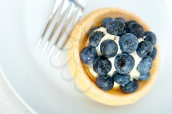 fresh blueberry cream cupcake homemade closeup macro