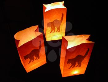 Royalty Free Photo of Halloween Luminaries