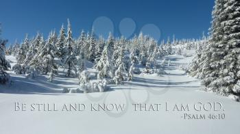 Royalty Free Photo of a Bible Verse Against a Winter Landscape
