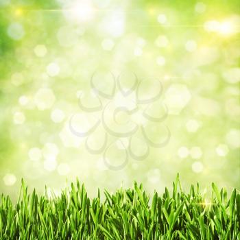 Green grass. Abstract natural backgrounds
