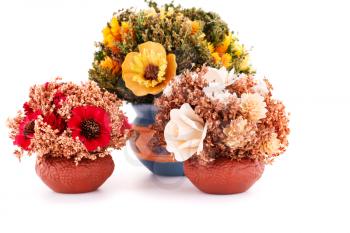 Flowers in vases isolated on white background.