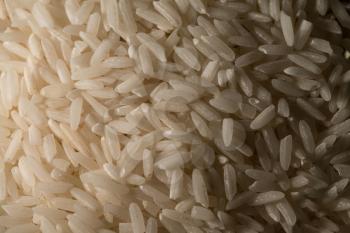 White Rice Close Up