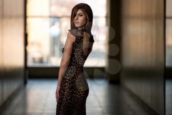 Model Wearing A Dress With Animal Print