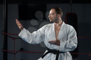 Young Man Practicing His Karate Moves - White Kimono - Black Belt