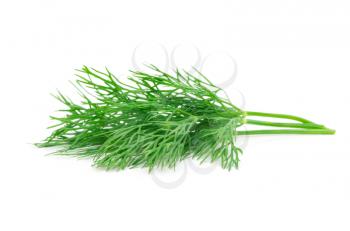 Royalty Free Photo of Fresh Dill