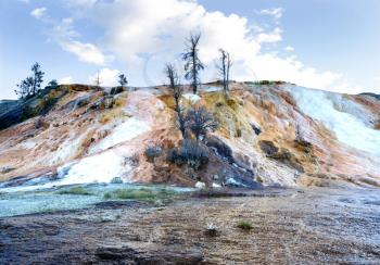 Horizontal image of Mammoth Hot Springs in Northern part of Yellowstone National Park with dead trees, blue skies and clouds in background