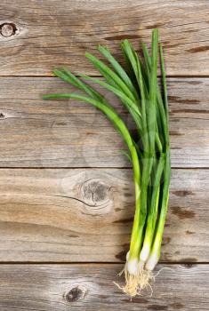 Fresh green onions on rustic wood. Top view of image in vertical format. 
