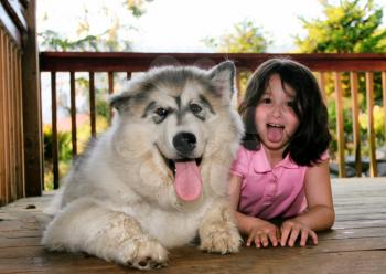 Young girl with dog on outdoor deck playing around with tongues hanging out