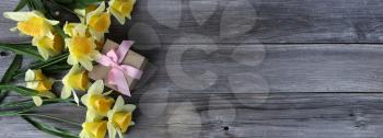 Overhead view of a gift box with yellow daffodils on weathered wooden planks for Mothers day love holiday concept 