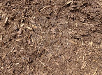 Fresh topsoil dirt in filled frame format for lawn maintenance