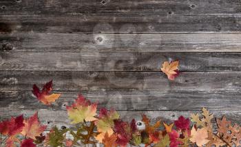 Autumn border with faded leaves on vintage wooden planks for the holiday season