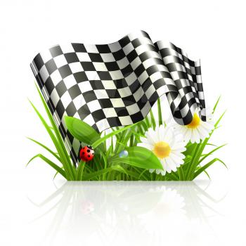 Checkered flag in grass