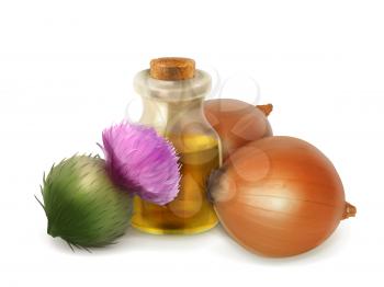 Onion and burdock, folk medicine vector illustration