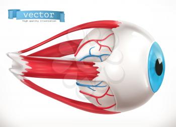 Eye. Medicine 3d vector icon